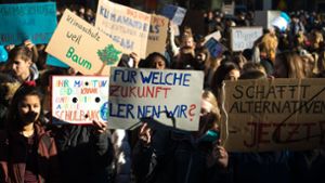 Jeden Freitag protestieren Schüler auf dem Marktplatz für den Klimaschutz. Sie werden im Gemeinderat angehört. Foto: Lichtgut/Leif Piechowski
