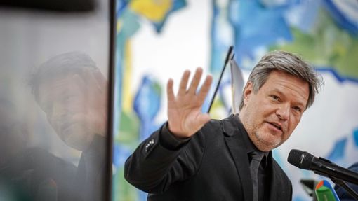 Vizekanzler Robert Habeck besucht zurzeit die Ukraine. Foto: Kay Nietfeld/dpa