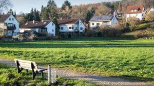 Die Landesbaugenossenschaft will westlich des Fußballplatzes in Ebersbach vier Gebäude mit erschwinglichen Mietwohnungen errichten Foto: Tilman Ehrcke