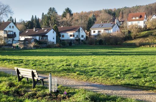 Die Landesbaugenossenschaft will westlich des Fußballplatzes in Ebersbach vier Gebäude mit erschwinglichen Mietwohnungen errichten Foto: Tilman Ehrcke
