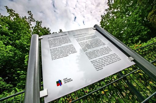 Mit einer Hinweistafel am westlichen Beginn der Hindenburgstraße erklärt die Stadt, weshalb es beim bisherigen Straßennamen bleibt. Foto: Roberto Bulgrin