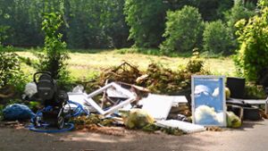 Ein Stillleben der unschönen Art: illegale Müllentsorgung im Tiefenbachtal. Foto: privat