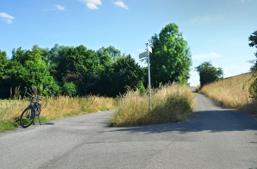 Steil, unübersichtlich und gefährlich: Um diese Ecke müssen Radler biegen, wenn sie von Böblingen nach Dagersheim möchten. Foto: Stürm