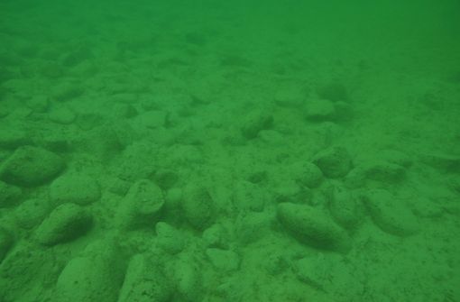Wie alt sind die rätselhaften rund 170 Steinhügel auf dem Grund des Bodensees? Foto: dpa/Matthias Schnyder