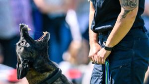 Ein Polizeihund der Diensthundeführerstaffel schaut beim „Welcome Day“ der Polizei Niedersachsen mit geöffneter Schnauze nach oben. Foto:  