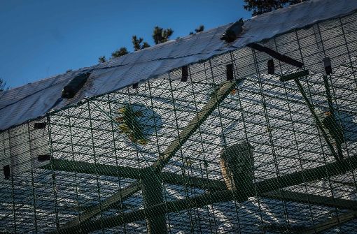 In der Stuttgarter Wilhelma sollen Netze die Vögel vor dem Kontakt mit infizierten Wildvögeln schützen. (Archivfoto) Foto: Lichtgut/Max Kovalenko