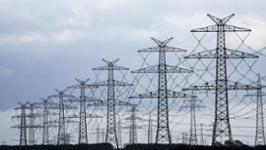 Bis 2045 soll der Ausbau der Stromleitungen etwa 320 Milliarden Euro kosten. Foto: dpa/Christian Charisius