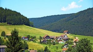 Wohnen im Schwarzwald statt in der Region Stuttgart: Arne Wintermeier aus Ludwigsburg  hat sich dafür  entschieden. Foto: imago/Panthermedia/Annabella