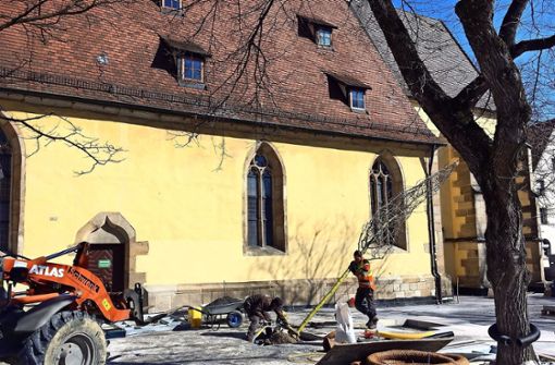 Mitarbeiter des Bauhofs setzen die neuen Bäume vor der Kreuzkirche. Foto: Stadt Nürtingen