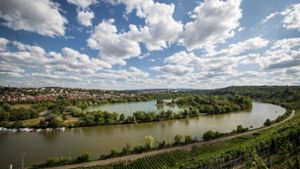 Blick über den Max-Eyth-See und den Neckar in Stuttgart-Mühlhausen. Foto: Lichtgut/Christoph Schmidt