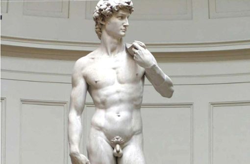 Weltberühmt: Michelangelos David-Statue Foto: dpa/, Ansa Bucco