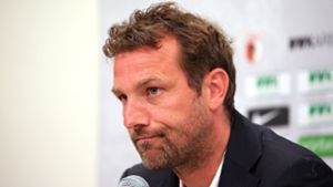 Die Argumente für VfB-Trainer Markus Weinzierl gehen aus. Foto: Baumann