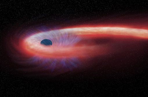 Diese von der US-Raumfahrtbehörde Nasa bereitgestellte grafische Darstellung zeigt einen Stern, der von einem schwarzen Loch geschluckt wird und dabei einen roten Schweif aus Röntgenstrahlen hinter sich lässt. Foto: Nasa/Chandra X-ray Observatory/AP/dpa