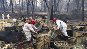 Die Waldbrände in Kalifornien wüten nun schon seit Wochen. Foto: AP
