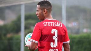 Dennis Aogo vom VfB Stuttgart spielt seit 14 Jahren in Deutschlands höchster Liga und musste schon oft mit viel Verantwortung und Drucksituationen umgehen. Foto: Pressefoto Baumann