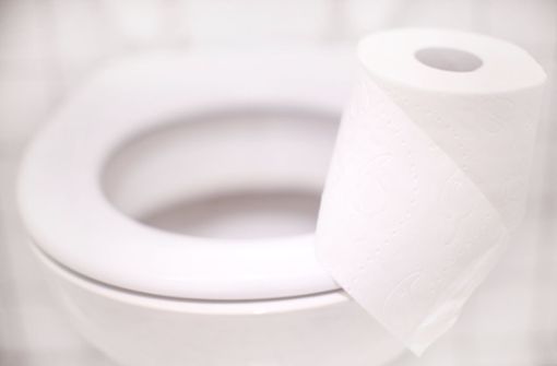 15 Kilogramm Klopapier verbraucht ein Bundesbürger durchschnittlich im Jahr. In Europa sind es pro Kopf 13 Kilo – dass sind 5,5 Millionen Tonnen jährlich in Europa und rund 22 Milliarden Rollen Toilettenpapier. Foto: dpa