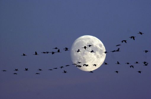 Zweimal Vollmond innerhalb von einem Monat: Die Amerikaner sprechen dabei auch vom „blue moon“. Doch schimmert der Mond dann wirklich blau? Foto: epd/Joern Friederich