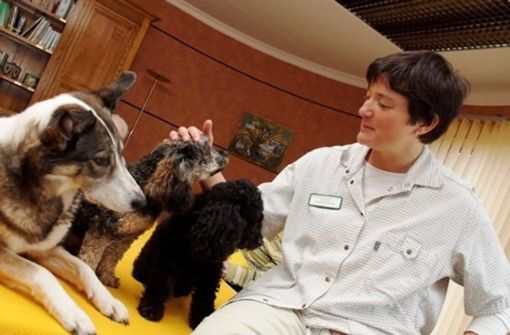 Sozialpädagogin Anette Bull mit ihren Therapie-Hunden. Foto: Anette Bull