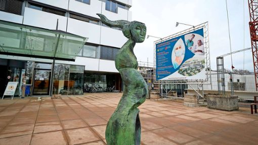 Kunst am Haupteingang des Krankenhauses in Leonberg. Foto: Granville/Archiv