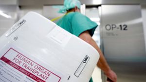 Ein Styropor-Behälter zum Transport von zur Transplantation vorgesehenen Organen:  Vor einer Lebend-Organspende müssen Ärzte nach einem Urteil des BGH umfassend über alle Risiken aufklären. Foto: dpa