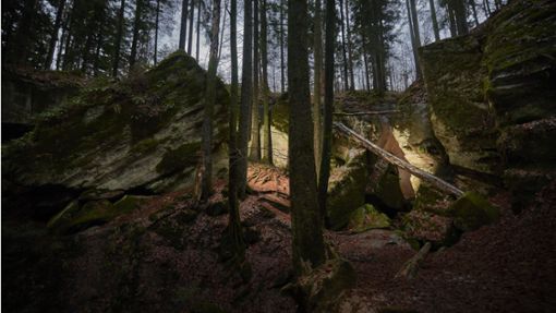 Die Hägelesklinge ist eine der spektakulärsten Felsformationen im Schwäbischen Wald. Foto: Gottfried Stoppel/Gottfried Stoppel