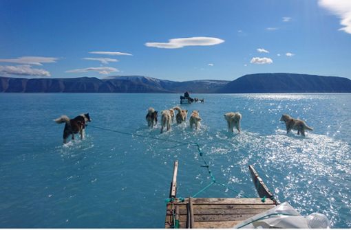 Dieses Bild ging um die Welt: Hundeschlitten auf einer mit Wasser bedeckten Eisfläche  vor Grönland. Foto: Steffen M. Olsen/Danmarks Meteorologiske Institut/dpa