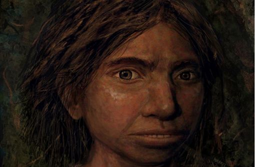 Porträt eines jugendlichen weiblichen Denisova-Menschen, das auf der Basis von einem Skelett-Profil und DNA-Merkmalen gemalt wurde. Foto: Maayan Harel/dpa