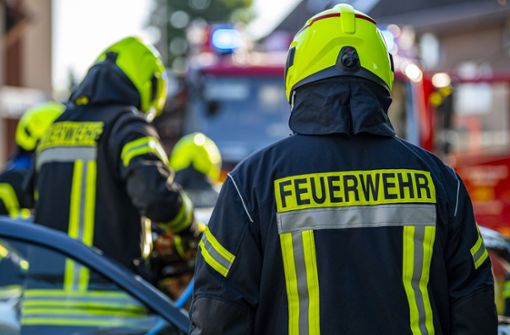 Mehrere Feuerwehren waren am Samstagnachmittag in Sersheim im Einsatz. Foto: David Inderlied