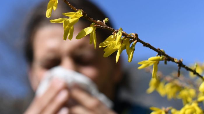 Heuschnupfen und Pollen: „Allergien werden meist falsch behandelt“