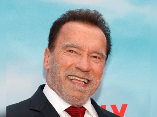 Gestoppt vom Münchner Zoll: Arnold Schwarzenegger Foto: AdMedia/ImageCollect