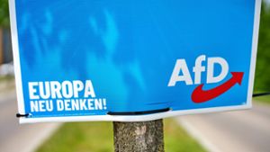 Plakate der AfD hängen im Kreis Böblingen nur sehr vereinzelt Foto: /Imago/Michael Bihlmayer