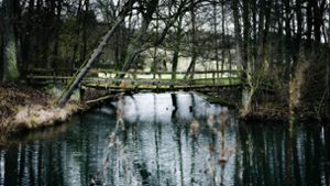 Auf dem Teich beim Schloss Dätzingen wurden Nilgänse gesichtet. Foto: /Stefanie Schlecht