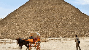 Warten auf Touristen: Vor den Pyramiden in Giseh. Foto: Molitor
