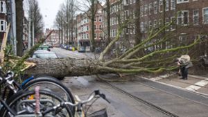 Der Orkan hat in Amsterdam Bäume entwurzelt. Foto: AP