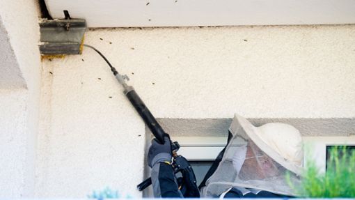 Fachgerechte Vertreibung: Ein Kammerjäger besprüht einen Bau mit Wespen an der Wand eines Hauses. Foto: dpa/Julian Stratenschulte