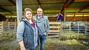 Karen und Gernot Fröschle wollen ihre Schafe nicht mehr auf die Wiese lassen – zu groß ist die Angst. Foto: factum/Granville, dpa