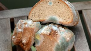 Wenn schon das Brot auf dem Tisch verschimmelt ist, sieht es in Küche und Kühlraum oft nicht besser aus. Foto: dpa/Jens Kalaene