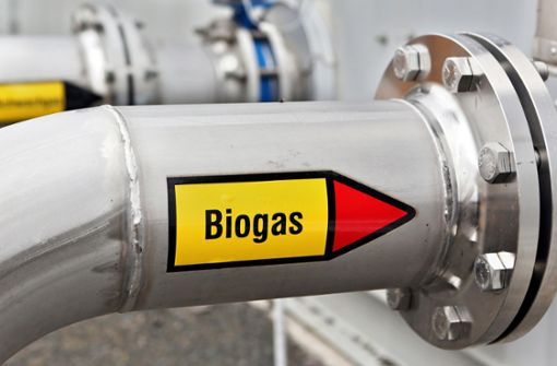 Biogas aus der lange umstrittenen Anlage soll künftig auch zu Porsche fließen. Foto: dpa/Jan Woitas