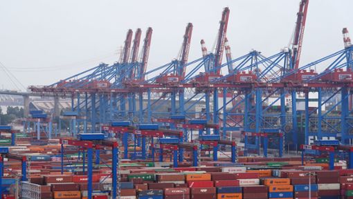 Der Hamburger Hafen ist einer der wichtigsten Umschlagsplätze in der EU. Foto: dpa/Marcus Brandt