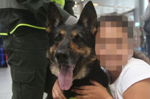 Lieb zu Kindern, unerbittlich bei der Suche nach Kokain: Drogenspürhund Sombra Foto: Colombian Police