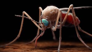 3D-Illustration eines weiblichen Moskito der Gattung Anopheles, welcher den einzelligen Parasiten der Gattung Plasmodium überträgt,der wiederum Malaria hervorruft. Foto: Imago/SuperStock
