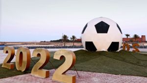 Am 20. November startet die Fußball-WM in Katar. Foto: IMAGO/Laci Perenyi