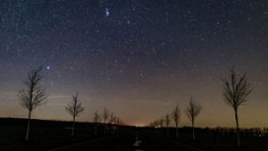 Blick in den Nachthimmel Foto: dpa//atrick Pleul