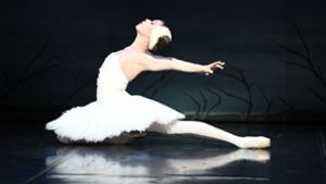 Die Ballett-Matinée hat zum Erfolg der Aktion Weihnachten beigetragen. Foto: Stuttgarter Ballett/Roman Nowitzky