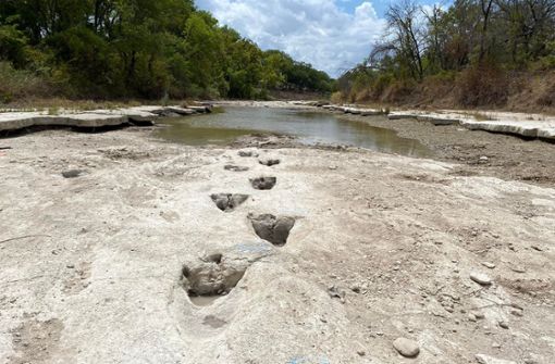 Dallas Ende August 2022: Fußabdrücke von Dinosauriern  in einem Flussbett des „Dinosaur Valley State Parks“ Foto: dpa