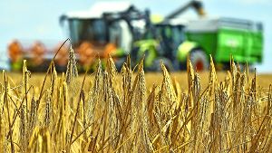 Eine genaue Prognose der diesjährigen Getreideernte – die dieser Tage in Baden-Württemberg begonnen hat – ist  nach Meinung des Bauernverbandes noch nicht möglich. Foto: dpa
