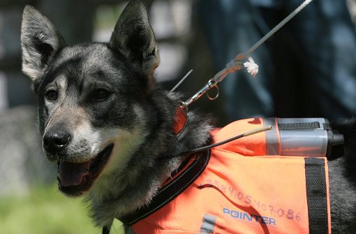 Suchhunde (Symbolbild) und Rettungsmannschaften waren fast die ganze Nacht bei Bietigheim unterwegs. Foto: dpa
