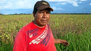 Anderson Machado. Ein Vertreter des Stammes der Guaraní-Kaiowá vor dem Land seiner Vorfahren. Wo einst Urwald war,  wird   heute Soja angebaut. Foto: Werner Rudhart (z)