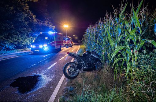 Die Fahrt unter Drogeneinfluss endete für den Fahrer in einem Maisfeld. Foto: Alexander Hald