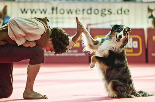 Dogdancing ist nur einer von vielen Programmpunkten beim Stuttgarter Messeherbst. Foto: Landesmesse Stuttgart GmbH / Uli Regenscheit